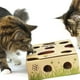 thumbnail image 3 of Comedero Interactivo Cat Amazing Laberinto y Rompecabezas, 3 of 17