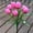 Pink, variant on 1 Pc 9 Heads Tulips Artificial Flowers, 15.8 Inch Real Touch PU Faux Flowers, Fake Tulips Stems for Spring Summer Bouquet Floral Room Table Party Wedding Easter Valentines Day Decorations Pink