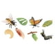 thumbnail image 5 of Juguetes de aprendizaje Strade Fareast Limited ciclo de vida de los animales Estilo A, 5 of 5
