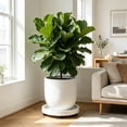 thumbnail image 5 of EGNMCR Décoration pour la Maison, Décoration de Pièce, Décoration Murale Support de Pot de Fleurs à Roulettes Robuste et Durable Support de Pot de Fleurs Roulant en Plastique Convient à une Utilisation Intérieure et Extérieure pour Pots de Fleurs Jardinières Palette en Plastique, 5 of 5