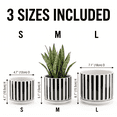 thumbnail image 2 of BUYMAX 4+5+6 inch Set of 3 Ceramic Planters, Black & White Vertical Stripes Pots with Drainage Hole, 2 of 10