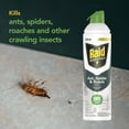 thumbnail image 3 of Raid Essentials Ant Spider, and Roach Killer Aerosol Spray, Child & Pet Safe, Kills Insects Quickly, 10 Ounce, 6 Pack (6), 331877, 3 of 9