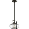 thumbnail image 2 of Quoizel Trilogy TRG1510OZ 10"H x 10"W Mini Pendant, 1-Light LED Compatible, 2 of 2