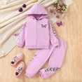 thumbnail image 2 of Gibobby Toddler Girls Outfits Set Clothes 6M 1T 2T 3T Toddler Girls Long Sleeve Color Sweatshirt and Elastic Waistband Sweatpants 2 Pcs Casual Clothing for Kids(18-24 Months,Purple), 2 of 5