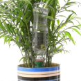 thumbnail image 5 of 4pcs Automatic Plant Watering System Ceramic Planter With Drip And Self Watering, 5 of 5