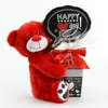 Red Bear Plush and Candy Gift