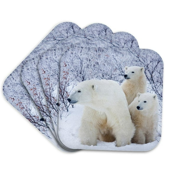 3drose, Polar Bears and Two Cubs, Set of 4 Coasters - Soft