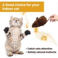 thumbnail image 3 of Electronic Funny Cat Toy Automatic Robotic Mice Toy with Real Mouse Electronic Sound Cat Toys for Cat Exercise, 3 of 5