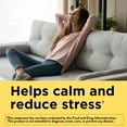 thumbnail image 3 of (2 pack) Nature Made Ashwagandha Gummies 125mg, Dietary Supplement for Stress Support, 60 Count, 3 of 10