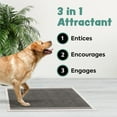 thumbnail image 2 of Disposable Puppy Pads Potty Training - Charcoal With Attractant, 2 of 9