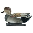 thumbnail image 6 of Avian X Topflight Gadwall Decoys Realistic Gray Duck, Set of 12, Multicolor, 6 of 6