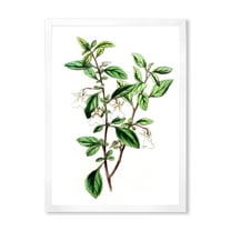 Designart 'Ancient Green Leaves Plants VII' Traditional Framed Art Print