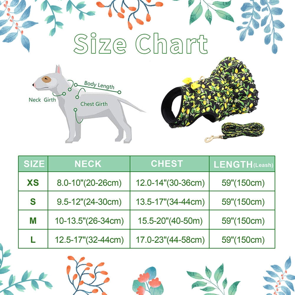 Pet Artist Cute Girl Dog Harness Dress and Leash set Fancy Summer Small Pet Cat Vest Clothes