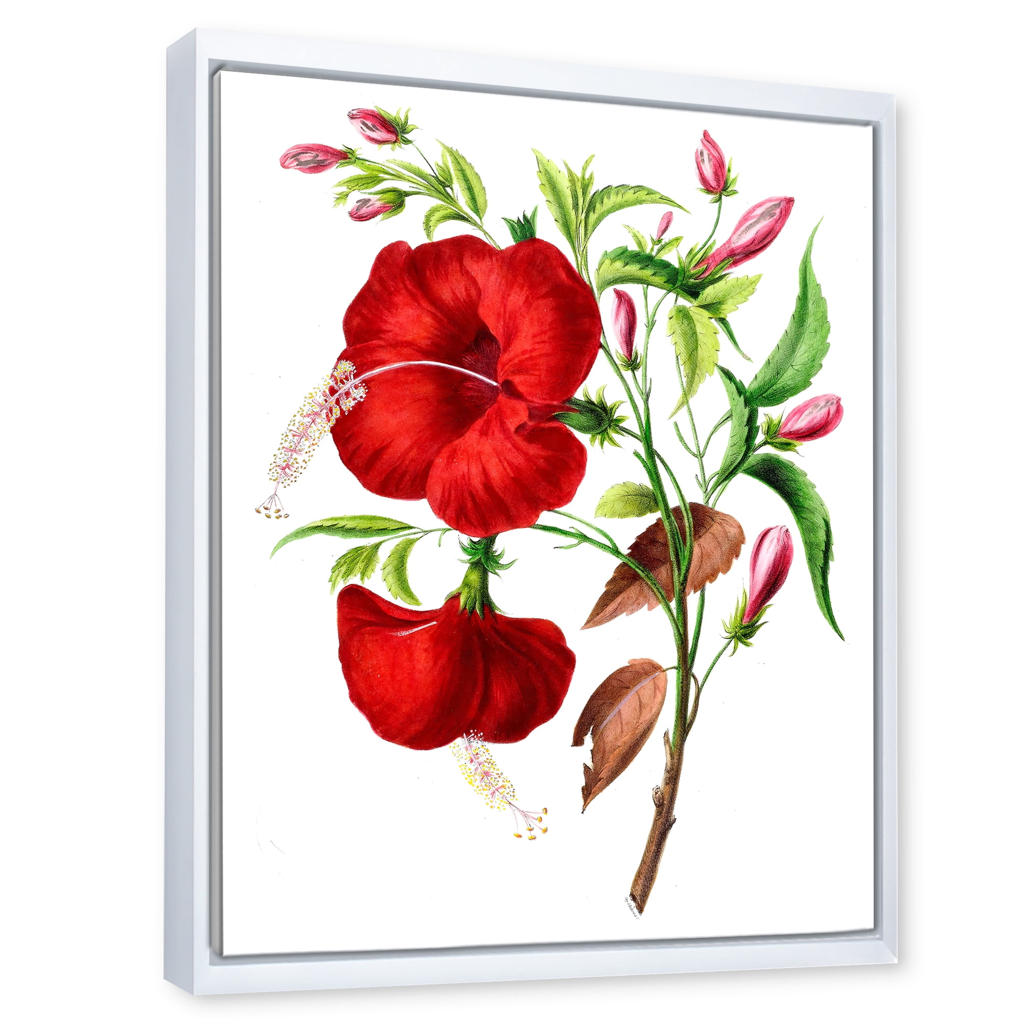 Designart 'Ancient American Flora I' Traditional Framed Canvas Wall Art Print