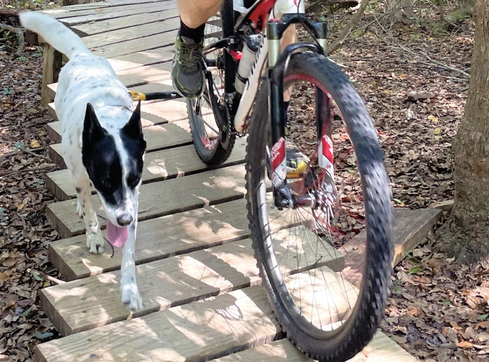 Red - Right Side - Bike Tow Leash Complete Package