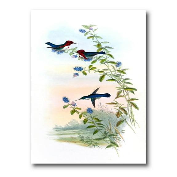 Designart ' Ancient Hummingbird II ' Traditional Canvas Wall Art Print