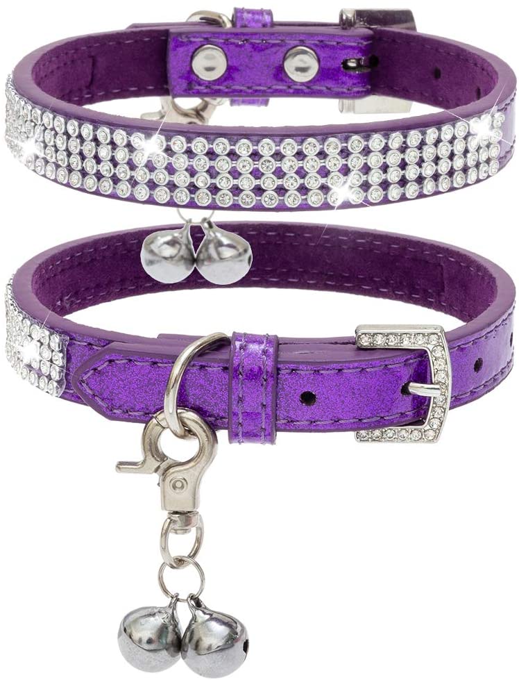 lilac kitten collar