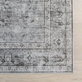 thumbnail image 5 of nuLOOM Noemie Smart Plus with SplashGuard Area Rug, 4' x 6', Noemie Grey, 5 of 11
