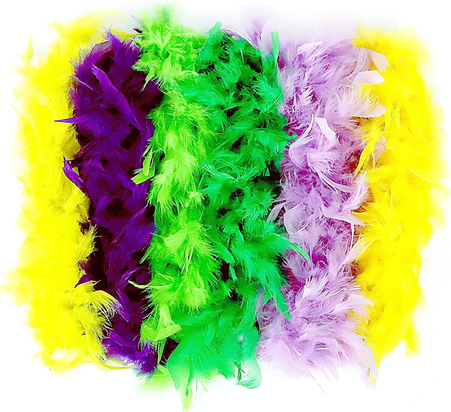 Mardi Gras Feather Boas 6 Pack of 6 Feet Long Boas with Feathers