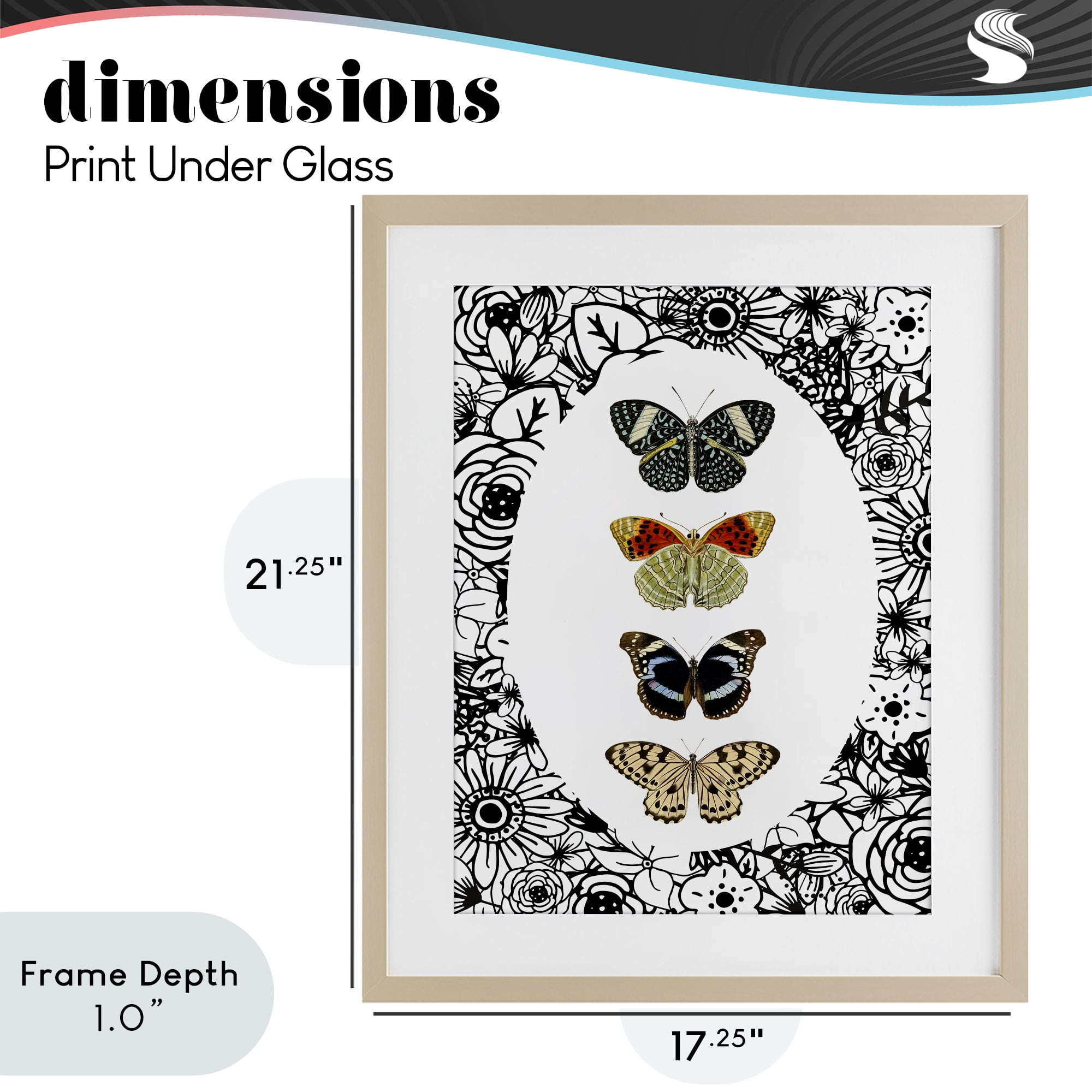 Stupell Industries Floral Butterfly Lineup Birch Framed Print Under Glass, design by Dan Meneely