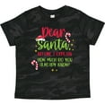 thumbnail image 3 of Inktastic Christmas Dear, Santa Before I Explain How Much Do You Know? Boys or Girls Toddler T-Shirt, 3 of 5