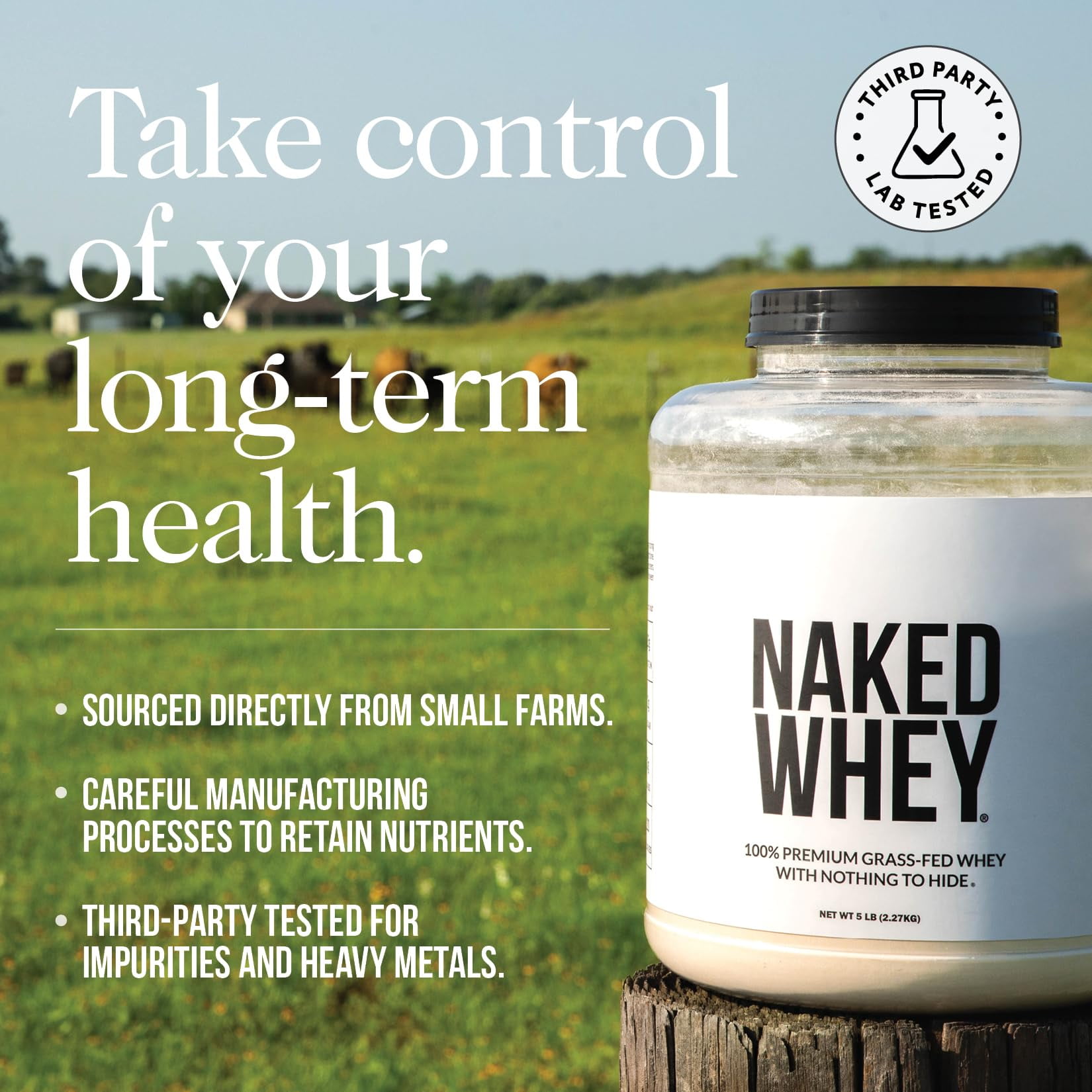 NAKED Strawberry Whey Protein - All Natural Grass Fed Whey Protein Powder + Dried Strawberries + Coconut Sugar- 5lb Bulk, GMO-Free, Soy Free, Gluten Free. Aid Muscle Growth & Recovery - 61 Servings