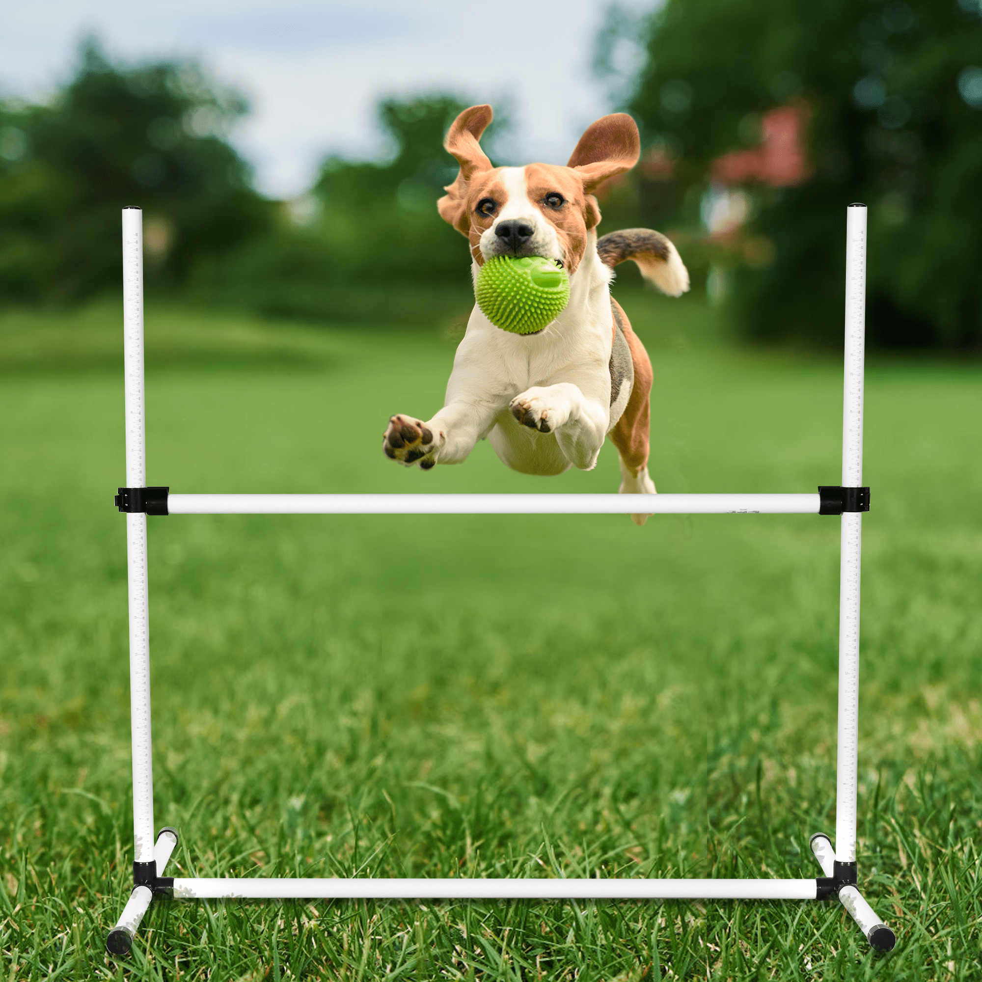 Aukfa Dog Agility Training Backyard Set, Obstacle Courses Starter Kit - Pet Outdoor Games w/Adjustable High Jump and Carrying Bag