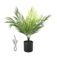 thumbnail image 2 of Plantas Verdes Luz Nocturna, Decoración de Luz Nocturna de Plantas USB Para Oficina Interior, 2 of 7