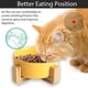 thumbnail image 4 of Cuenco para perros, comedero, comedero para perros y gatos con soporte, 4 of 6