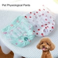 thumbnail image 5 of Pet Sanitary Pants - Lace Washable - Strawberry/Flower Pattern - Polyester Female Dogs Short Diapers - Physiological Pants - Pet Supplies, 5 of 8