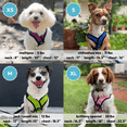 thumbnail image 4 of Gooby Comfort X Step In Lite Harness - Red, Small - Escape Free Dog Harness with Easy-Snap Buckles and Flexible Body Frame for Small Dog and Medium Dog, 4 of 4