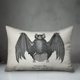 thumbnail image 3 of Creative Products Scientific Vamp 20 x 14 Spun Poly Pillow, 3 of 3