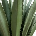 thumbnail image 3 of Nearly Natural 6ft. UV Resistant Giant Artificial Agave Plant (Indoor/Outdoor), 3 of 8