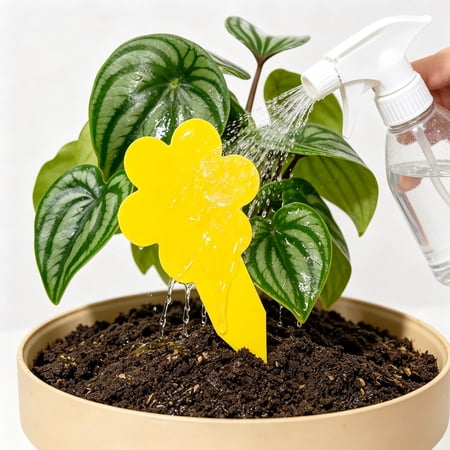 ACDANC Fungus Gnat Traps-30 Pack,Highly Effective Gnat Traps for House Indoor,Yellow Sticky Trap for Plants,Non-Toxic&Nature-Friendly,Up to 3 Months