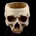 thumbnail image 2 of Contenedor de calavera, 1 pieza de resina con cabeza de calavera, maceta para planta con calavera, diseño exquisito, 2 of 11
