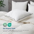 thumbnail image 3 of Dafinner Hypoallergenic 3‑Chamber Goose Feather Down Core Bed Pillows, King Size Set of 2, With Microfiber Surround, Soft-Medium Support For All Sleepers (20x36, White), 3 of 9