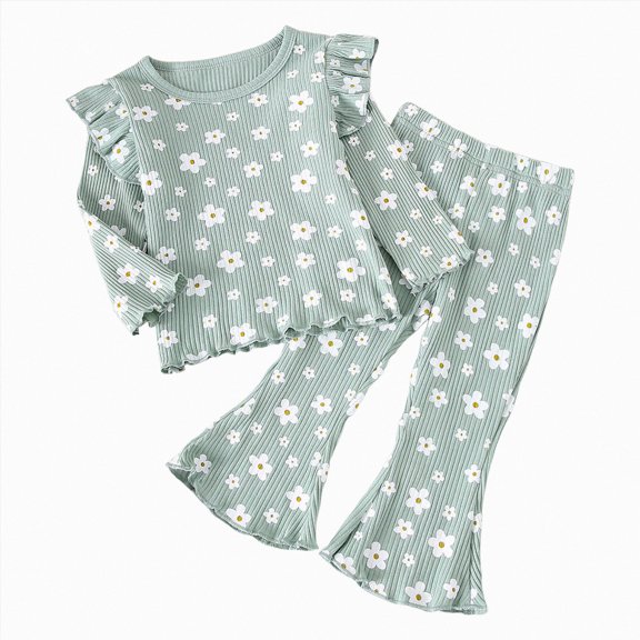 HCNTES Baby Girl Clothes Winter Girls 2 Piece Outfits Girls 12 24 Months 2T 3T 4T Long Sleeve Sweatshirt Pants Fall Clothing Set Girls Clothes