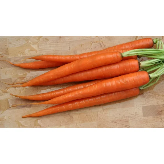 3,000 Carrot Seeds - Tendersweet Carrot - Non-GMO Heirloom Seeds - Sweet 7"