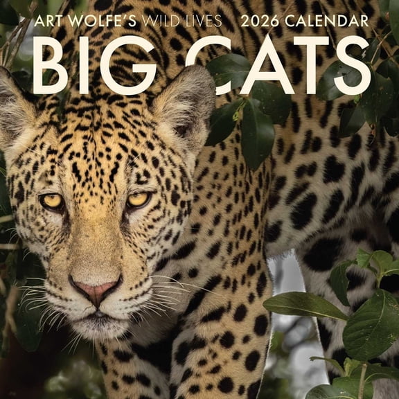 2026 Big Cats Wall Calendar : Art Wolfe's Wild Lives (Calendar)