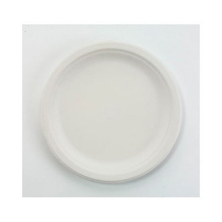 CHINET 9.75'' Round Classic Paper Plates in White