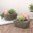 thumbnail image 6 of 1PC Cute Cartoon Pig Flower Pot for Cactus Potted Plant Cute Pig Animal Theme Home Desktop Decoration Flower Pot, 6 of 8