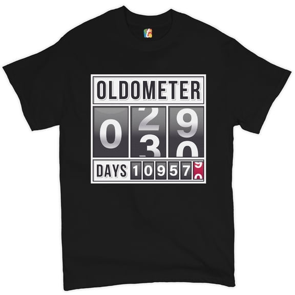 Tee Hunt Oldometer 29-30 T-Shirt Funny Odometer Men's Tee