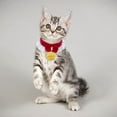 thumbnail image 5 of Collar de gato tejido con lazo, bufanda para mascotas, toalla de Saliva, disfraz bonito, 5 of 5