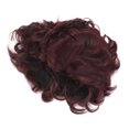thumbnail image 3 of Short Curly , Short Curly Hair  Elegant Environmental Protection High Density Delicate High Temperature Synthetic Hair  For Middle Aged Women For Cosplay, 3 of 8