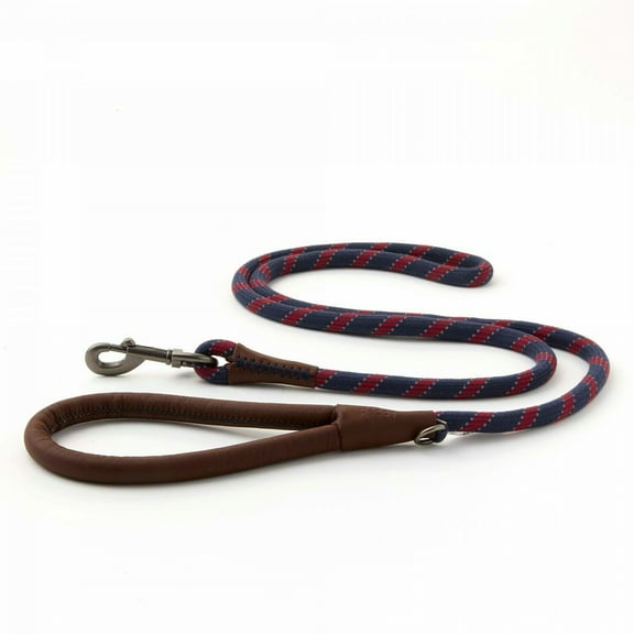 Reddy Red & Navy Rope Dog Leash, 6 ft