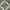 Dark Green/Ivory, variant on SAFAVIEH Adirondack Lecia Geometric Area Rug, Ivory/Light Blue, 12' x 18'