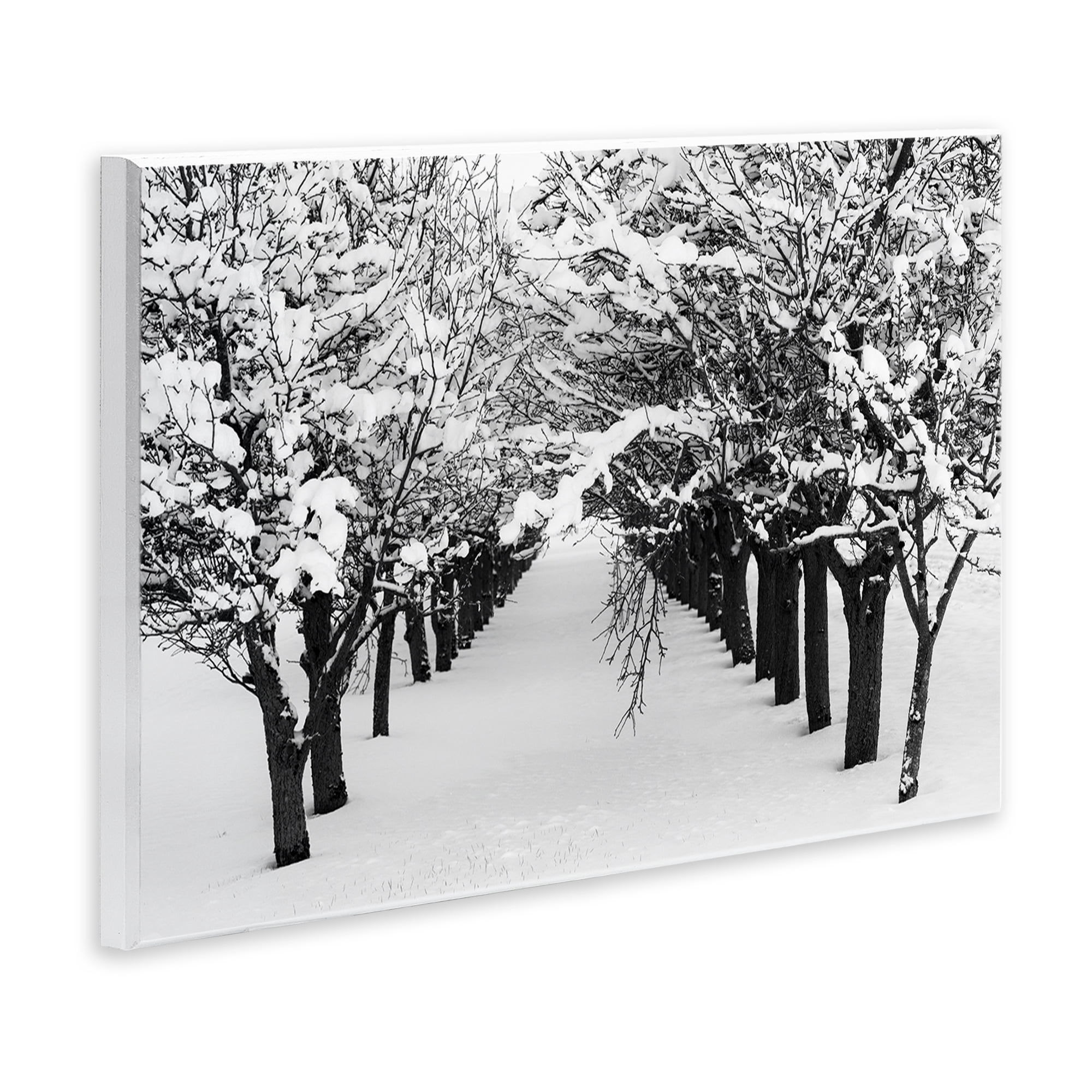 Stupell Industries Winter Tree Pathway Landscape & Nature Photography Unframed Art Print Wall Art, 15 x 10