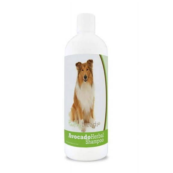 Healthy Breeds 840235157564 Collie Avocado Herbal Dog Shampoo