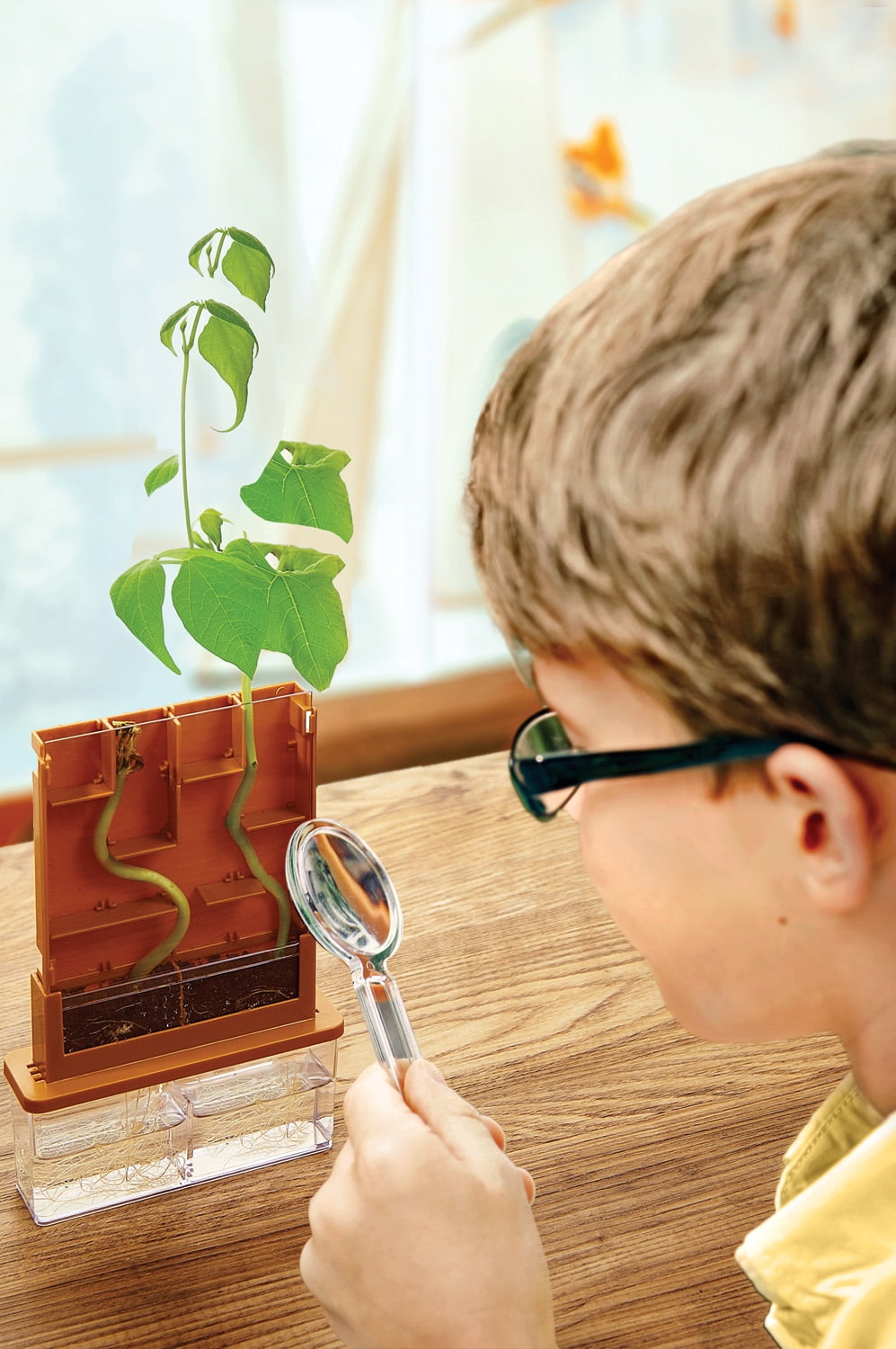4M Green Science Grow-A-Maze – Pflanzen-Labyrinth Zum Beobachten Des Wurzelwachstums