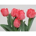 thumbnail image 2 of Eg 1.59qt Tulip Pink, 2 of 2